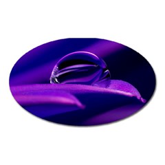 Waterdrop Magnet (oval) by Siebenhuehner