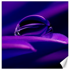 Waterdrop Canvas 16  X 16  (unframed) by Siebenhuehner