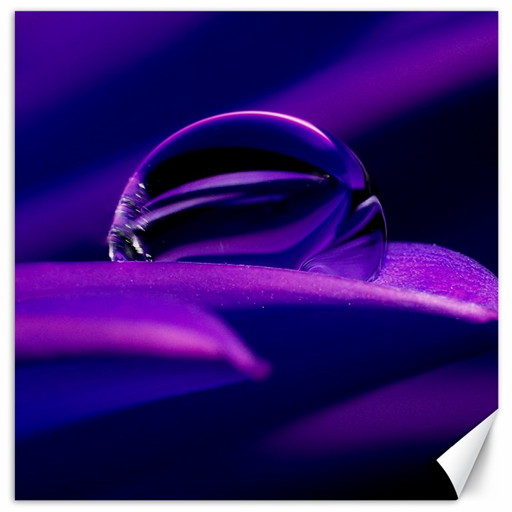 Waterdrop Canvas 16  x 16  (Unframed)