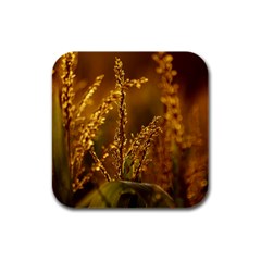 Field Drink Coasters 4 Pack (square)