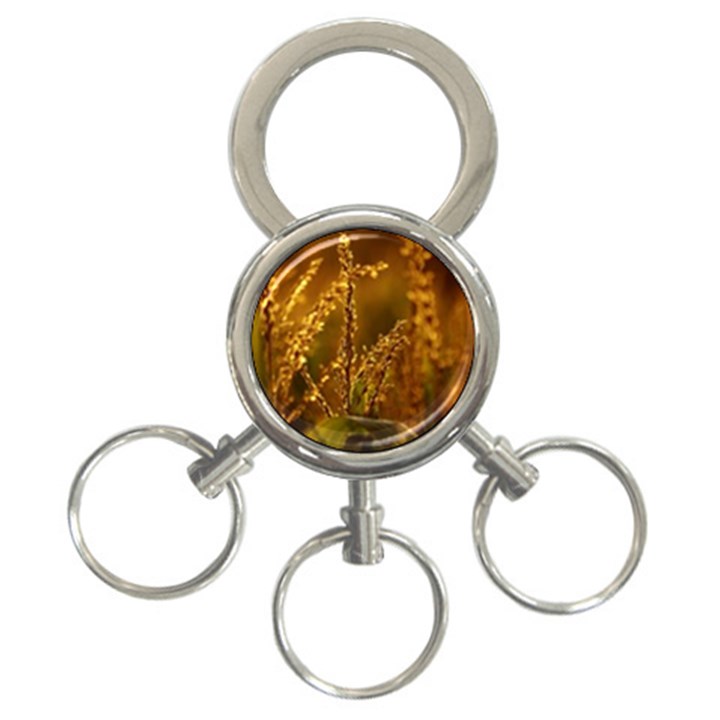 Field 3-Ring Key Chain