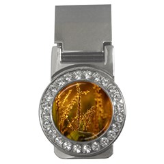 Field Money Clip (cz) by Siebenhuehner