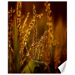 Field Canvas 16  X 20  (unframed) by Siebenhuehner