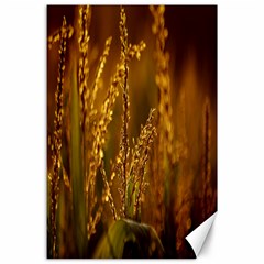 Field Canvas 24  X 36  (unframed) by Siebenhuehner