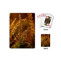 Field Playing Cards (mini) by Siebenhuehner