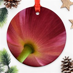 Poppy Round Ornament by Siebenhuehner