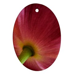 Poppy Oval Ornament by Siebenhuehner