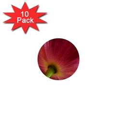 Poppy 1  Mini Button (10 Pack) by Siebenhuehner