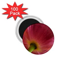 Poppy 1 75  Button Magnet (100 Pack) by Siebenhuehner