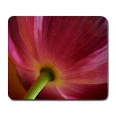 Poppy Large Mouse Pad (rectangle) by Siebenhuehner