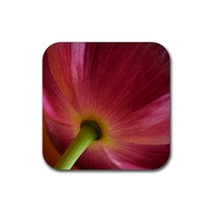 Poppy Drink Coaster (square) by Siebenhuehner