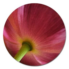 Poppy Magnet 5  (round) by Siebenhuehner