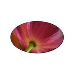 Poppy Sticker 10 Pack (oval) by Siebenhuehner