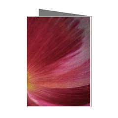 Poppy Mini Greeting Card (8 Pack) by Siebenhuehner