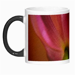 Poppy Morph Mug by Siebenhuehner