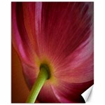 Poppy Canvas 11  x 14  (Unframed) 10.95 x13.48  Canvas - 1