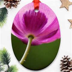 Poppy Oval Ornament