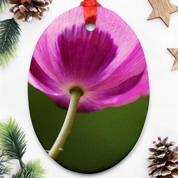 Poppy Oval Ornament