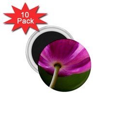 Poppy 1 75  Button Magnet (10 Pack) by Siebenhuehner