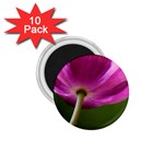 Poppy 1.75  Button Magnet (10 pack) Front