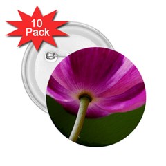 Poppy 2 25  Button (10 Pack)