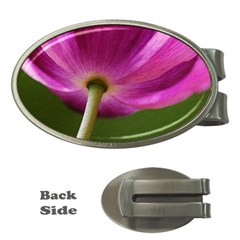 Poppy Money Clip (oval)