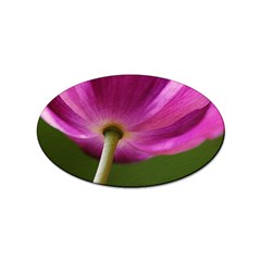 Poppy Sticker (oval) by Siebenhuehner