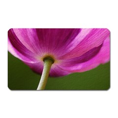 Poppy Magnet (rectangular) by Siebenhuehner