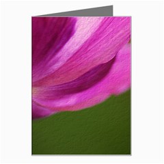 Poppy Greeting Card by Siebenhuehner