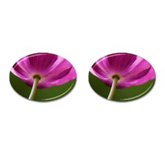 Poppy Cufflinks (oval)