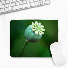 Poppy Capsules Small Mouse Pad (rectangle)