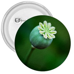 Poppy Capsules 3  Button by Siebenhuehner