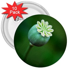 Poppy Capsules 3  Button (10 Pack)