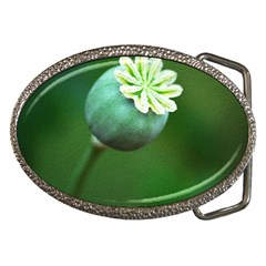 Poppy Capsules Belt Buckle (oval) by Siebenhuehner