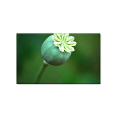 Poppy Capsules Sticker 100 Pack (rectangle) by Siebenhuehner