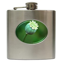 Poppy Capsules Hip Flask