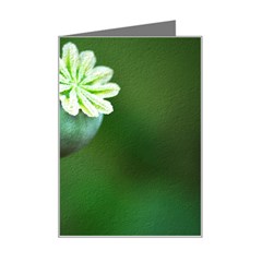 Poppy Capsules Mini Greeting Card