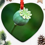 Poppy Capsules Heart Ornament (Two Sides) Back