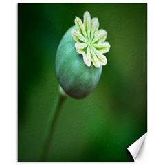 Poppy Capsules Canvas 16  X 20  (unframed) by Siebenhuehner