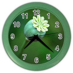 Poppy Capsules Wall Clock (color) by Siebenhuehner