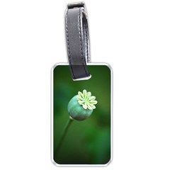 Poppy Capsules Luggage Tag (one Side) by Siebenhuehner