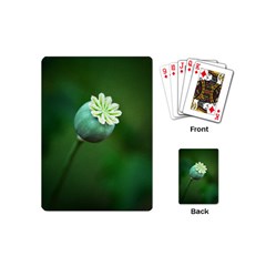 Poppy Capsules Playing Cards (mini) by Siebenhuehner