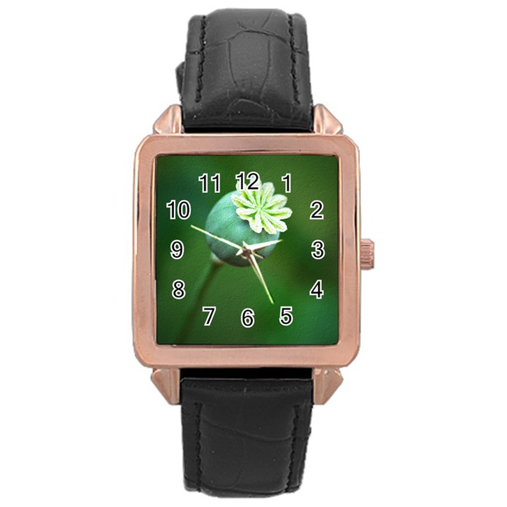 Poppy Capsules Rose Gold Leather Watch 