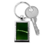 Pearls   Key Chain (Rectangle) Front