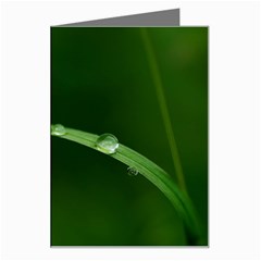 Pearls   Greeting Card by Siebenhuehner