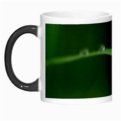 Pearls   Morph Mug