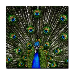 Peacock Ceramic Tile