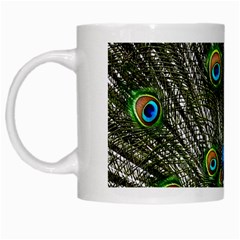 Peacock White Coffee Mug