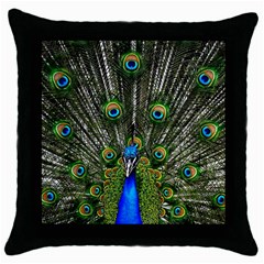 Peacock Black Throw Pillow Case by Siebenhuehner