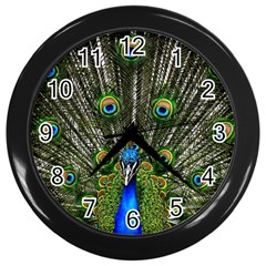 Peacock Wall Clock (black) by Siebenhuehner